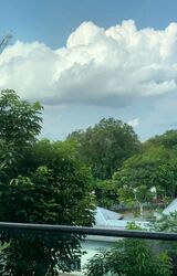 Fifth Avenue (D10), Detached #470745241